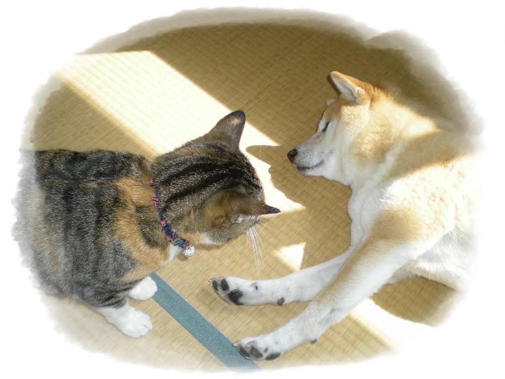 2012,3,20歯医者復活戦!_f0060461_13425612.jpg