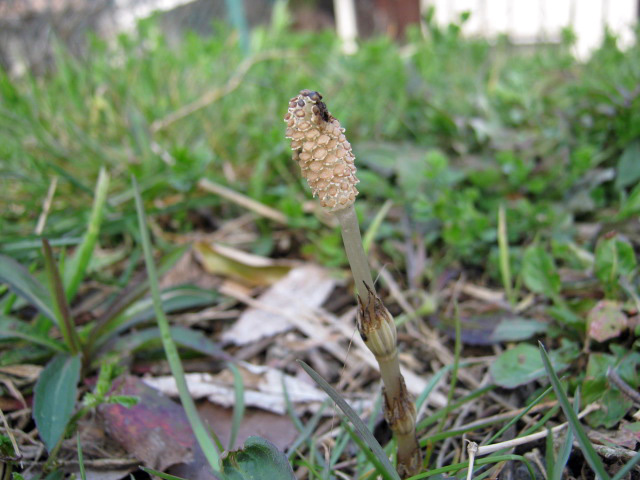 f0177670_93654.jpg