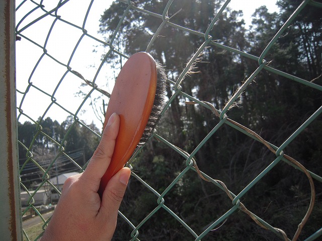 f0225871_18253833.jpg
