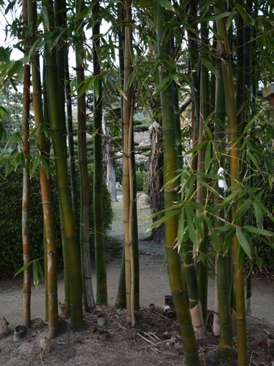 萩・松蔭神社_a0161380_16504828.jpg