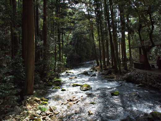 秋芳洞・闇のロマン_a0161380_233532100.jpg
