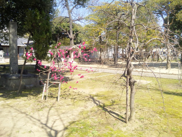 c0212783_13032.jpg