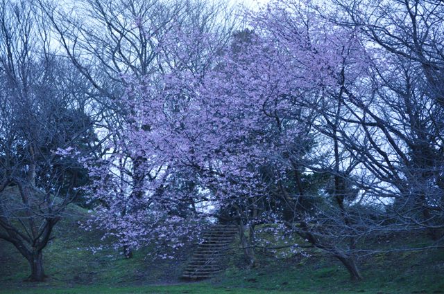 闇に包まれる前に_a0126590_1131116.jpg