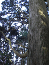 b0075497_2255992.jpg