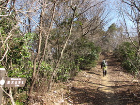 b0116703_19521817.jpg
