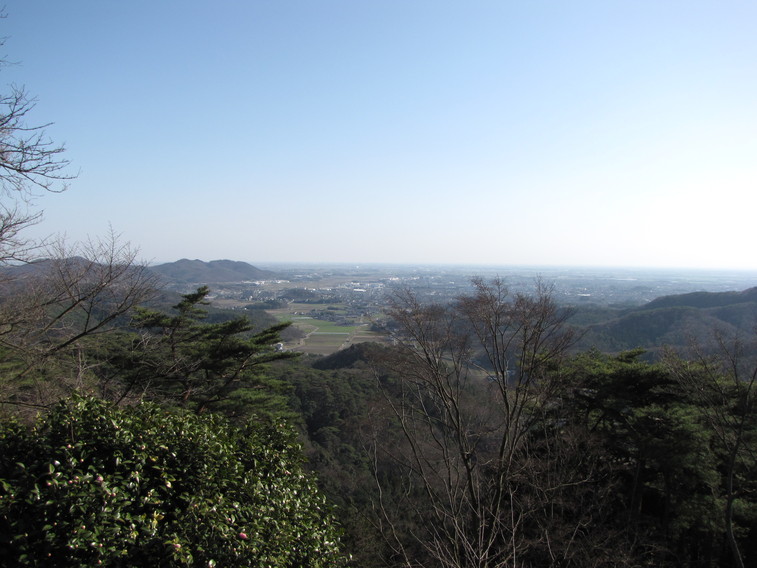 b0116703_20343.jpg