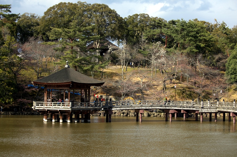 c0043403_22481460.jpg