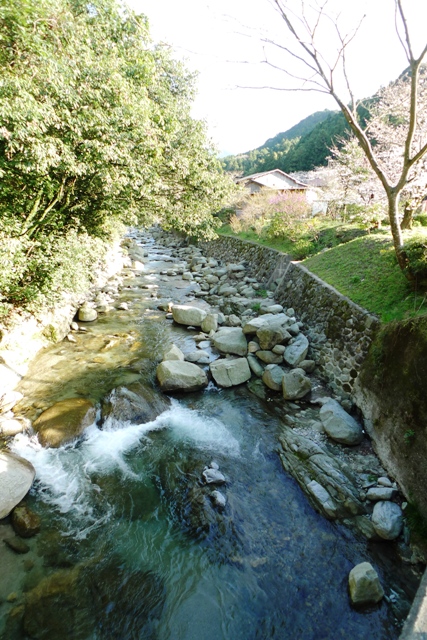 a0097006_1732406.jpg