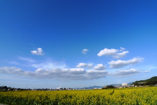 a0097006_17352936.jpg