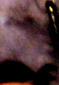 e0103408_1319198.gif