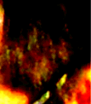 e0103408_13275683.gif
