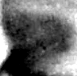 e0103408_22134621.gif
