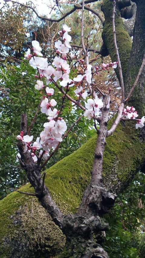 e0187908_17204532.jpg