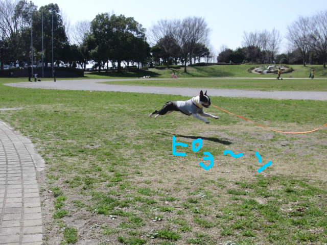 c0220715_8242962.jpg