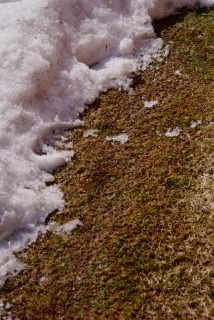 f0170524_14312451.jpg