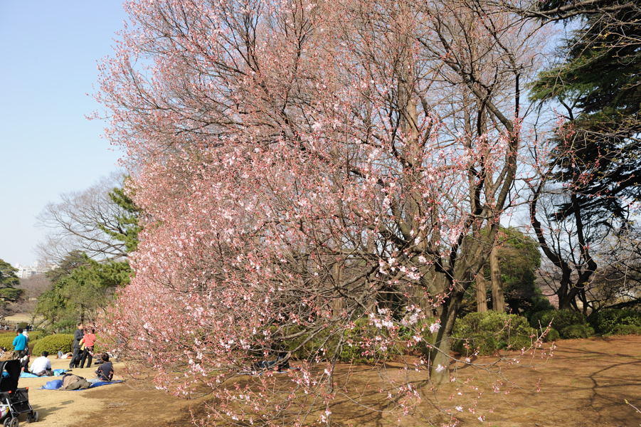 e0037126_20552259.jpg