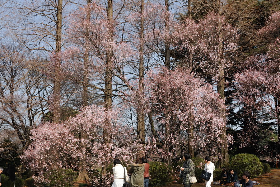 e0037126_2055302.jpg