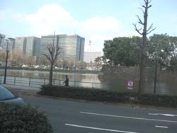 d0132128_1205311.jpg