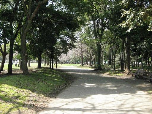 c0217931_1062364.jpg