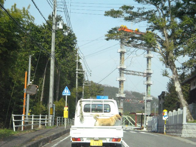 c0113733_1052322.jpg