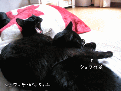 a0166338_2152411.gif