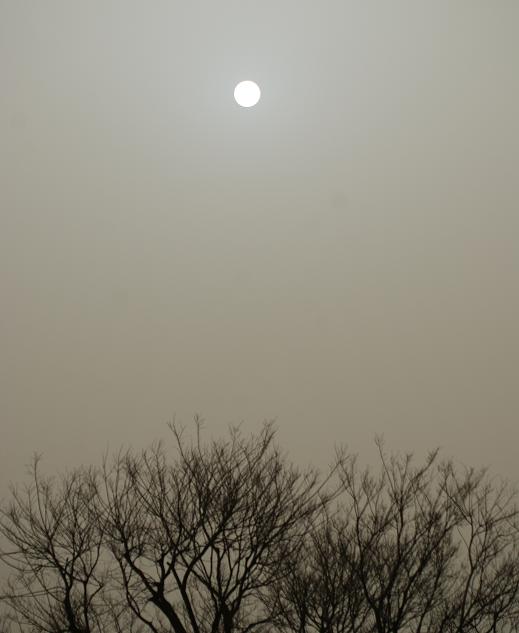 神戸でも黄砂_b0063958_20252321.jpg