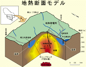 ＜2010年３月４～５日＞八丈島レポート_c0119160_13462831.gif