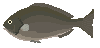 c0119160_14564827.gif