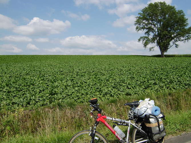 私×自転車・・・自転車について熱く語ります。_a0164965_193883.jpg