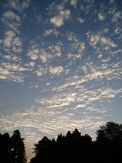 f0224165_21595257.jpg