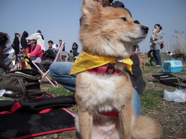 f0225871_19152012.jpg