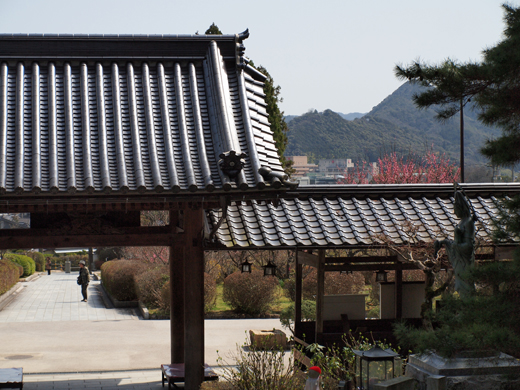 瑠璃光寺_a0161380_1222132.jpg