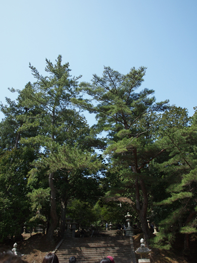 瑠璃光寺_a0161380_1231849.jpg