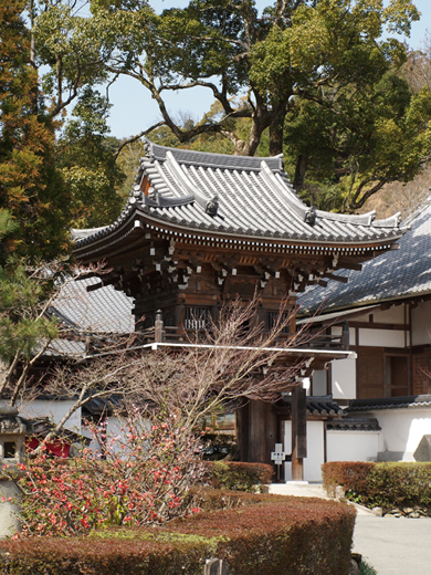 常栄寺_a0161380_1403112.jpg