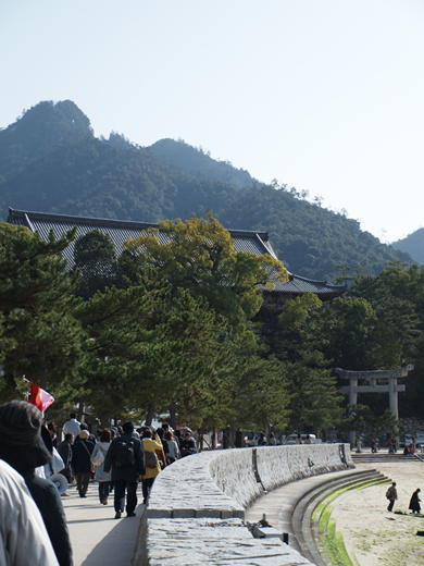 安芸の宮島_a0161380_1447666.jpg