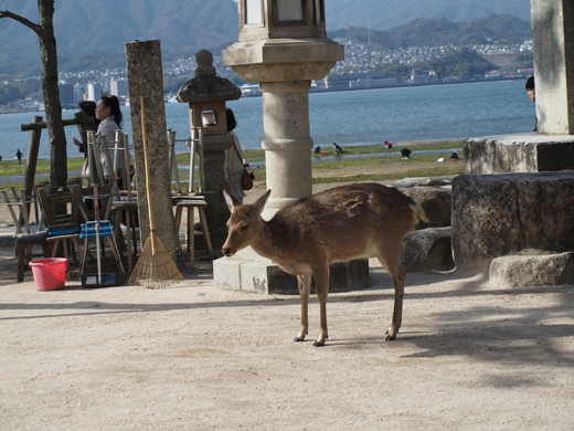 安芸の宮島-番外編-_a0161380_155731100.jpg