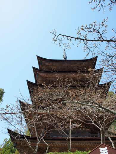 瑠璃光寺_a0161380_192181.jpg