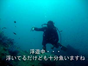 お帰りなさい!プーケット♪_f0144385_0495787.jpg