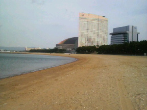 変化・・・?進化・・・!!?_c0165891_22315229.jpg