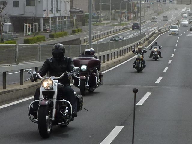 b0190092_20965.jpg