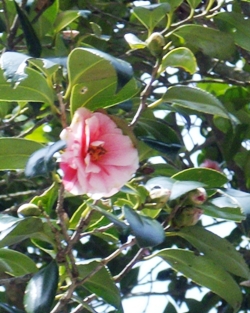b0067795_20123793.jpg