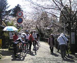 b0174996_21282655.gif