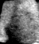 e0103408_1475958.gif
