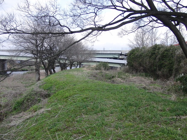沼川 春のお花見ウォーク その2_f0141310_22584670.jpg