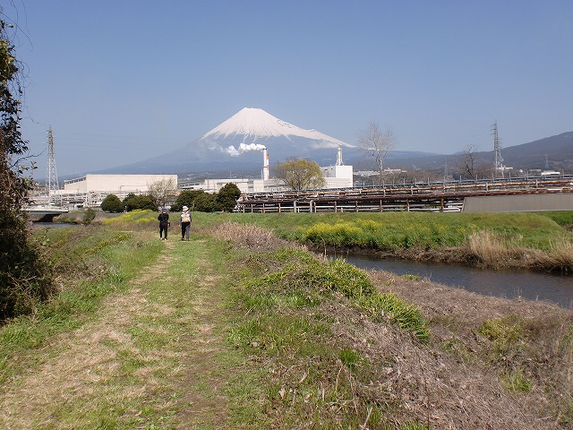 沼川 春のお花見ウォーク その2_f0141310_230273.jpg