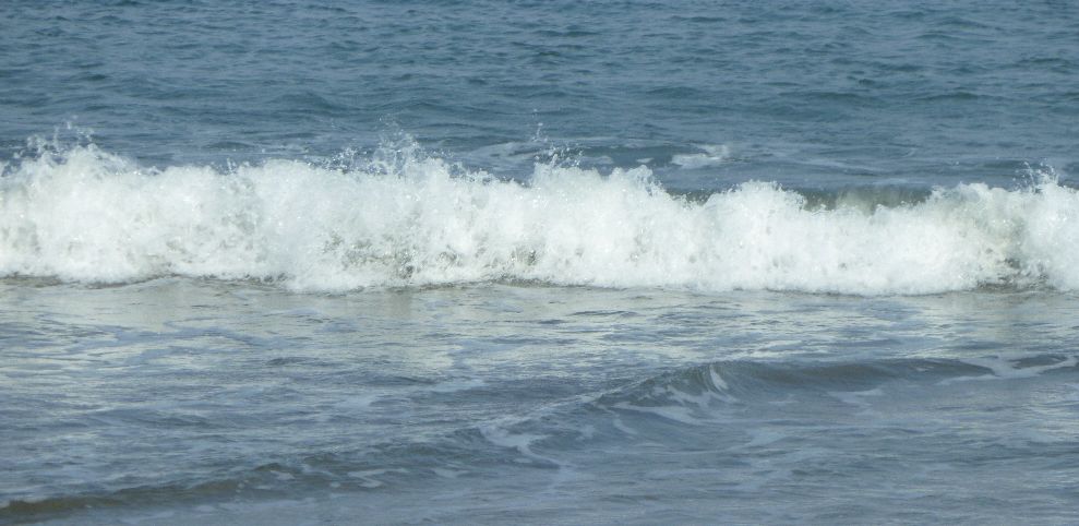 a0161111_18534523.jpg