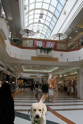 f0191413_105416.jpg