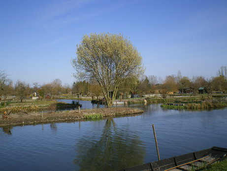 c0124619_20114.jpg