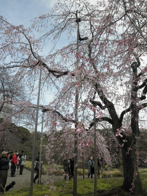 小石川後楽園_a0019323_17552812.jpg