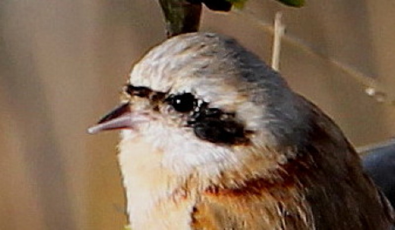 b0179023_2113110.jpg